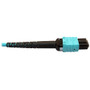 Tripp Lite series N846D-01M-24DAQ Fiber Optic Patch Network Cable - 3.3 ft (1 m) Fiber Optic Network Cable for Network Device, Network (N846D-01M-24DAQ)
