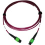 Tripp Lite series N846D-03M-16AMG 400G Multimode 50/125 OM4 Fiber Optic Cable, Magenta, 3 m - 9.8 ft (3 m) Fiber Optic Network Cable - (N846D-03M-16AMG)