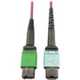 Tripp Lite series N846D-03M-16CMG 400G Multimode 50/125 OM4 Fiber Optic Cable, Magenta, 3 m - 9.8 ft (3 m) Fiber Optic Network Cable - (Fleet Network)