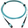 Tripp Lite series N846D-03M-24AAQ 400G Multimode 50/125 OM4 Fiber Optic Cable, Aqua, 3 m - 9.8 ft (3 m) Fiber Optic Network Cable for (N846D-03M-24AAQ)