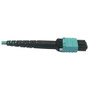 Tripp Lite series N846D-03M-24AAQ 400G Multimode 50/125 OM4 Fiber Optic Cable, Aqua, 3 m - 9.8 ft (3 m) Fiber Optic Network Cable for (N846D-03M-24AAQ)