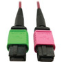 Tripp Lite Fiber Optic Network Patch Cable 5 M 16.4 Ft For Transceivers And Devices Transceiver Device Series N846D-05M-16BMG