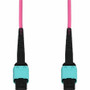 AddOn 1m MPO/UPC to MPO/UPC Magenta OM4 OFNP (Plenum-Rated) 12-Strand Fiber Patch Cable - 3.3 ft (1 m) Fiber Optic Network Cable for - (Fleet Network)