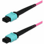 AddOn Magenta MPO UPC To 12 Strand OFNP Plenum 3.3 Ft Fiber Patch Cable Plenum-Rated MPO/UPC Network Optic For M ADD-MPOMPO-1M5OM4SP-MA