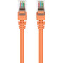Belkin Cat5e Patch Cable - RJ-45 Male Network - RJ-45 Male Network - 3.05m - Orange (Fleet Network)