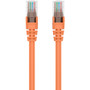 Belkin Cat5e Patch Cable - RJ-45 Male Network - RJ-45 Male Network - 3.05m - Orange (A3L791-10-ORG-S)
