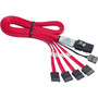 Promise Mini-SAS to SATA Cable Adapter - Mini-SAS, SATA - 0.5m (Fleet Network)