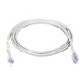 Black Box T1 Cable - 5 ft (1.52 m) RJ-48 Network Cable - First End: 1 x RJ-48C Network - Male - Second End: 1 x RJ-48C Network - Male (Fleet Network)