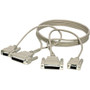 Black Box Universal Serial Cable - 10 ft Serial Data Transfer Cable - First End: 25-pin DB-25 RS-232 Serial - Female - Second End: - - (Fleet Network)