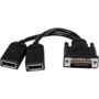 StarTech.com 8in LFH 59 Male to Dual Female DisplayPort DMS 59 Cable - 8" DMS-59/DisplayPort A/V Cable for Audio/Video Device, Card - (Fleet Network)