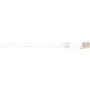 Black Box Connect Cat.5e UTP Patch Network Cable - 10 ft Category 5e Network Cable for Network Device - First End: 1 x RJ-45 Network - (Fleet Network)