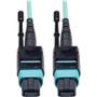 Tripp Lite series 5 Meter MTP / MPO Patch Cable, 12 Fiber, 40GbE Aqua OM3 Plenum - 16.4 ft (5 m) Fiber Optic Network Cable for Network (Fleet Network)