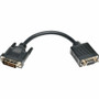 Tripp Lite 8in DVI to VGA Adapter Converter Cable DVI-I Dual Link to HD15 M/F 8" - 8" (203.20 mm) VGA/DVI-I Video Cable for Video - 1 (Fleet Network)