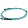AddOn ADD-MPOMPO-5M5OM3M 5m MPO/MPO Male-to-Male OM3 50/125 12-Fiber Patch Cable - 16. 4 ft (5 m) Aqua OFNR Riser-Rated LSZH