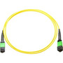 Axiom Fiber Optic Network Cable - 82 ft Fiber Optic Network Cable for Network Device - First End: 2 x Female Network - Second End: 2 x (Fleet Network)