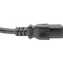 Tripp Lite Heavy Duty 10 Ft Power Cord Extension To 14 AWG Designed For PDU UPS Switches Routers And Servers P036-010-15A