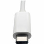 Tripp Lite series U444-06N-D-C Graphic Adapter - USB 3.1 Type C - 1 x DVI, DVI (U444-06N-D-C)