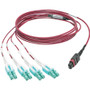 Tripp Lite series N845-02M-8L-MG MTP/MPO to 8xLC Fan-Out Patch Cable, Magenta, 2 m - 6.6 ft (2.01 m) Fiber Optic Network Cable for - 1 (N845-02M-8L-MG)