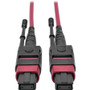 Tripp Lite series N845-05M-12-MG MTP/MPO Multimode Patch Cable, Magenta, 5 m - 16.4 ft (5 m) Fiber Optic Network Cable for Network - 1 (Fleet Network)