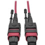 Tripp Lite series N845-15M-12-MG MTP/MPO Multimode Patch Cable, Magenta, 15 m - 49.2 ft (15 m) Fiber Optic Network Cable for Network - (Fleet Network)