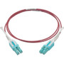 Fiber Optic Network Cable Single End First Specified 3.3 Ft Device Series Tripp Lite For M N821-01M-MG-T