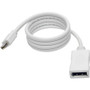 Tripp Lite series Keyspan P139-003-DP-V2B DisplayPort/Mini DisplayPort Audio/Video Cable - 3 ft (0.91 m) DisplayPort/Mini DisplayPort (P139-003-DP-V2B)