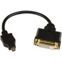 StarTechcom_Micro_HDMI_to_DVI-D_Adapter_MF_-_8in_-_8_DVIHDMI_Video_Cable_for_Monitor_Projector_Phone_Notebook_-_First_End_1_x_HDDDVIMF8IN
