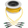 Tripp Lite series N392-11M-3X8-AP Fiber Optic Patch Network Cable - 36.1 ft (11 m) Fiber Optic Network Cable for Network Device - End: (N392-11M-3X8-AP)