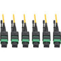 Tripp Lite series N392-30M-3X8-AP Fiber Optic Patch Network Cable - 98.4 ft (29.99 m) Fiber Optic Network Cable for Network Device - 3 (Fleet Network)