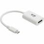 Tripp Lite series U444-06N-DP4K6W Graphic Adapter - USB 3.1 Type C - 1 x DisplayPort, DisplayPort (Fleet Network)