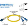 Tripp_Lite_Singlemode_Duplex_Patch_Cable_-_LC_-_SC_-_1m_N366-01M
