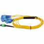 AddOn 10m MPO/APC to 4xSC Duplex (8xSC)/UPC Yellow OS2 OFNR (Riser-Rated) 8-Strand SMF Fiber Fanout Cable - 32.8 ft (10 m) Fiber Optic (ADD-MPO-4SC10M9SMF)