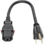 Tripp Lite series P006-L01 Standard Power Cord - For Monitor, PC, Server, Printer, Computer - 125 V AC / 10 A - Black - 1 ft (0.30 m) (P006-L01)