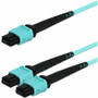 Aqua OFNR Riser-Rated MPO UPC To Dual 24 Strand Fiber Fanout Cable MPO/UPC Network AddOn Optic For Ft M ADD-24FMPO-2MPO2M5OM4