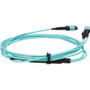 AddOn 65.6 Ft MPO-16 Fiber Optic Patch Cable Female Network Lead Device First End For X ADD-16FMPO-4MPO20M5OM4