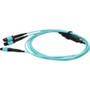 AddOn 7m MPO/UPC to 2xMPO/UPC Aqua OM4 LSZH 16-Strand Fiber Fanout Cable - 23 ft (7 m) Fiber Optic Network Cable for Network Device - (Fleet Network)
