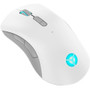 Lenovo Legion M600 Wireless Gaming Mouse (Stingray) - Optical - Cable/Wireless - Bluetooth/Radio Frequency - 2.40 GHz - Stingray - USB (GY51C96033)