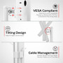 CTA Digital VESA Compatible Desk Stand w/ Height Adjustable Pole (White) - Height Adjustable - 13.2" to 27" Screen Support - 75 x 75, (ADD-VADMW)