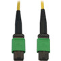 Tripp Lite series N390B-05M-12-AP Fiber Optic Network Cable - 16.4 ft (5 m) Fiber Optic Network Cable for Switch, Patch Panel, Network (Fleet Network)