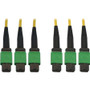 Tripp Lite series N392B-15M-3X8AP Fiber Optic Trunk Network Cable - 49.2 ft (15 m) Fiber Optic Network Cable for Switch, Patch Panel, (Fleet Network)