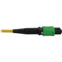 Tripp Lite series N392B-30M-3X8AP Fiber Optic Trunk Network Cable - 98.4 ft (30 m) Fiber Optic Network Cable for Switch, Patch Panel, (N392B-30M-3X8AP)