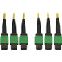 Tripp Lite series N392B-61M-3X8AP Fiber Optic Trunk Network Cable - 200.1 ft (61 m) Fiber Optic Network Cable for Switch, Patch Panel, (Fleet Network)