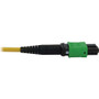 Tripp Lite series N392B-61M-3X8AP Fiber Optic Trunk Network Cable - 200.1 ft (61 m) Fiber Optic Network Cable for Switch, Patch Panel, (N392B-61M-3X8AP)