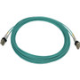 Tripp Lite series N820X-06M Fiber Optic Duplex Network Cable - 19.7 ft (6 m) Fiber Optic Network Cable for Switch, Patch Panel, Device (N820X-06M)