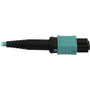 Tripp Lite series N844B-10M-12-P Fiber Optic Network Cable - 32.8 ft (10 m) Fiber Optic Network Cable for Network Device, Patch Panel, (N844B-10M-12-P)