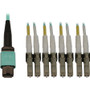 Tripp Lite series N844X-02M-8L-P Fiber Optic Duplex Trunk Network Cable - 6.6 ft (2 m) Fiber Optic Network Cable for Network Device, - (Fleet Network)