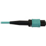 Tripp Lite series N844X-02M-8L-P Fiber Optic Duplex Trunk Network Cable - 6.6 ft (2 m) Fiber Optic Network Cable for Network Device, - (N844X-02M-8L-P)