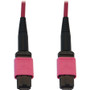Tripp Lite series N845B-05M-12-MG Fiber Optic Network Cable - 16.4 ft (5 m) Fiber Optic Network Cable for Network Device, Patch Panel, (Fleet Network)