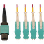 Tripp Lite series N845-03M-4S-MG Fiber Optic Network Cable - 9.8 ft (3 m) Fiber Optic Network Cable for Network Device, Patch Panel, - (Fleet Network)