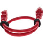 AddOn ADD515P2C1314AWG6FTR Power Extension Cord - NEMA 5-15P to IEC 60320 C13 - 6 ft Red - 120/230V AC - 10A